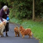 Remote and Local Freelance Jobs for Seniors and Retirees